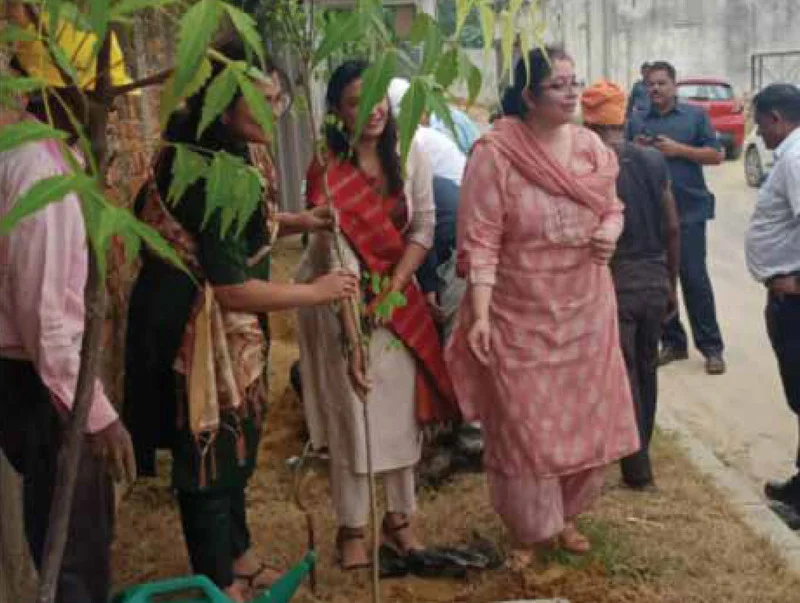 Shalimar Tree Plantation CSR
